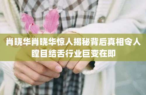 肖晓华肖晓华惊人揭秘背后真相令人瞠目结舌行业巨变在即