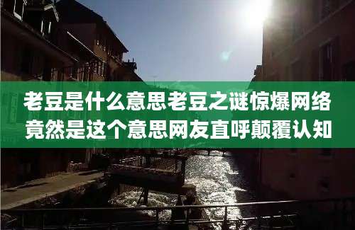 老豆是什么意思老豆之谜惊爆网络竟然是这个意思网友直呼颠覆认知