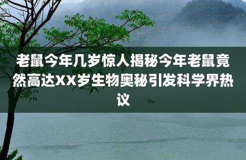 老鼠今年几岁惊人揭秘今年老鼠竟然高达XX岁生物奥秘引发科学界热议