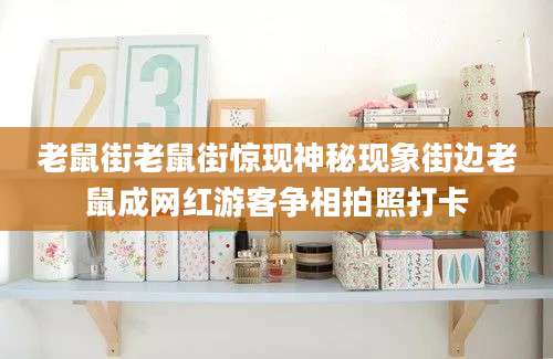 老鼠街老鼠街惊现神秘现象街边老鼠成网红游客争相拍照打卡