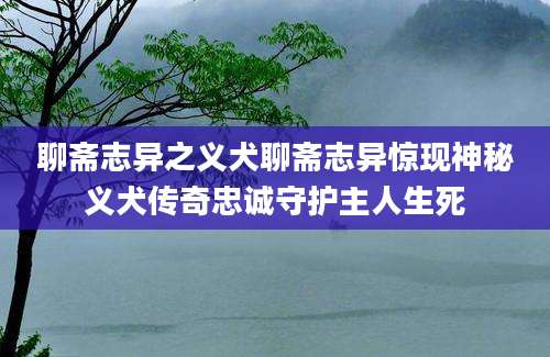 聊斋志异之义犬聊斋志异惊现神秘义犬传奇忠诚守护主人生死