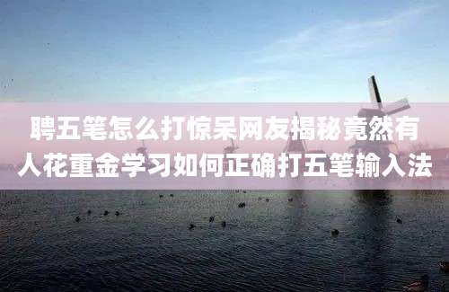 聘五笔怎么打惊呆网友揭秘竟然有人花重金学习如何正确打五笔输入法