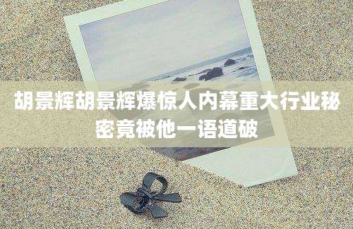 胡景辉胡景辉爆惊人内幕重大行业秘密竟被他一语道破