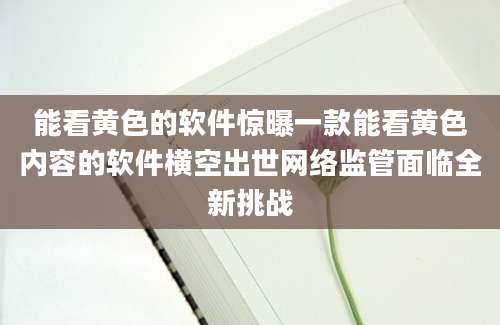能看黄色的软件惊曝一款能看黄色内容的软件横空出世网络监管面临全新挑战