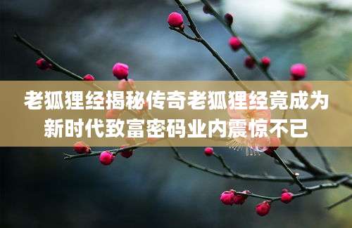 老狐狸经揭秘传奇老狐狸经竟成为新时代致富密码业内震惊不已