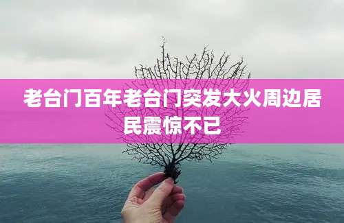 老台门百年老台门突发大火周边居民震惊不已