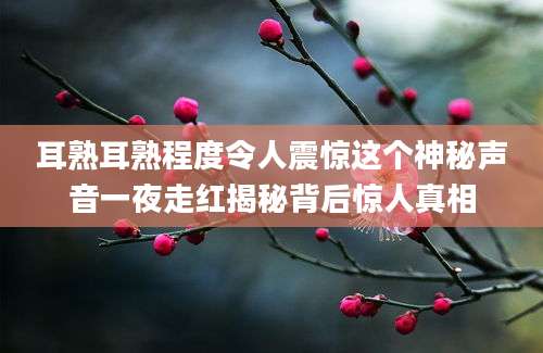 耳熟耳熟程度令人震惊这个神秘声音一夜走红揭秘背后惊人真相