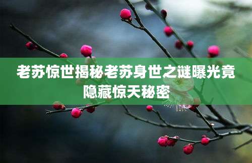 老苏惊世揭秘老苏身世之谜曝光竟隐藏惊天秘密