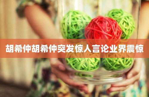 胡希仲胡希仲突发惊人言论业界震惊