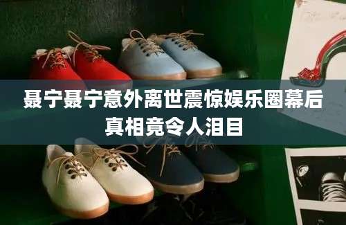 聂宁聂宁意外离世震惊娱乐圈幕后真相竟令人泪目