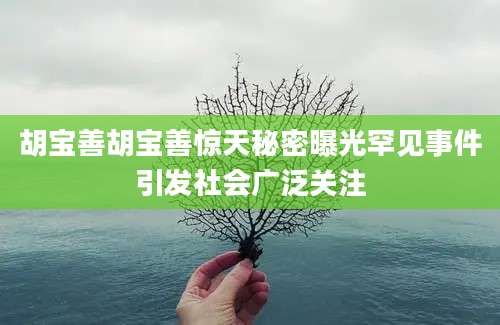 胡宝善胡宝善惊天秘密曝光罕见事件引发社会广泛关注