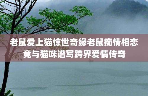 老鼠爱上猫惊世奇缘老鼠痴情相恋竟与猫咪谱写跨界爱情传奇