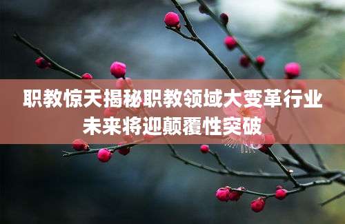 职教惊天揭秘职教领域大变革行业未来将迎颠覆性突破