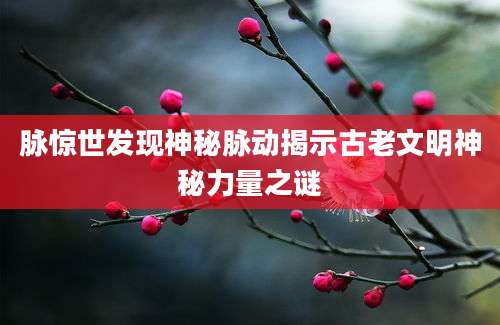 脉惊世发现神秘脉动揭示古老文明神秘力量之谜