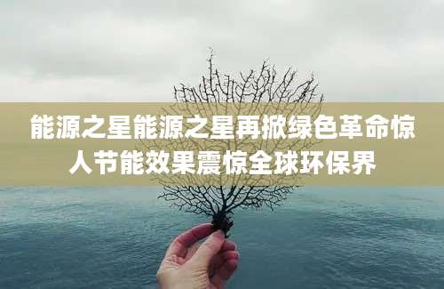 能源之星能源之星再掀绿色革命惊人节能效果震惊全球环保界