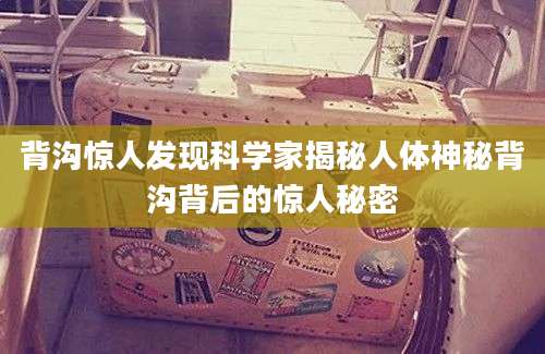 背沟惊人发现科学家揭秘人体神秘背沟背后的惊人秘密