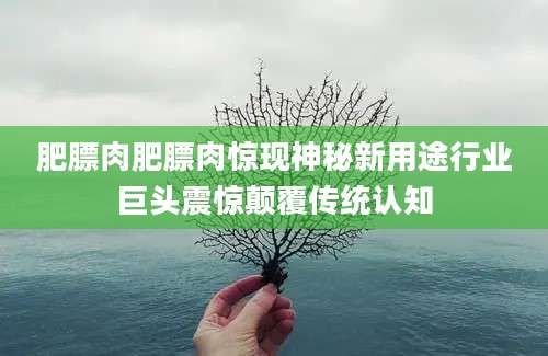 肥膘肉肥膘肉惊现神秘新用途行业巨头震惊颠覆传统认知