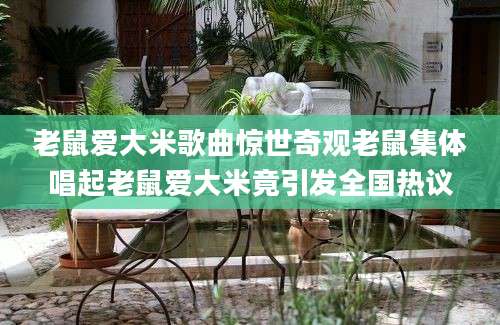 老鼠爱大米歌曲惊世奇观老鼠集体唱起老鼠爱大米竟引发全国热议