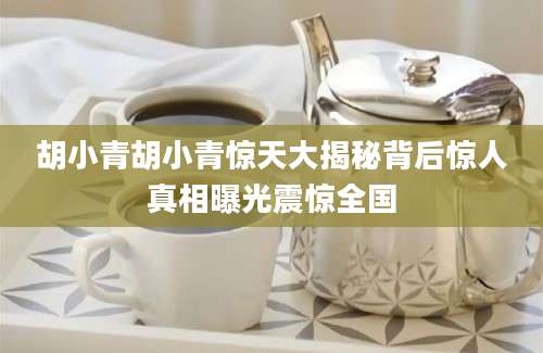 胡小青胡小青惊天大揭秘背后惊人真相曝光震惊全国