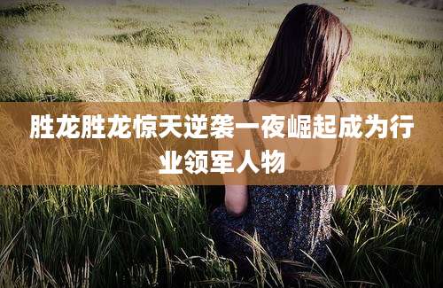 胜龙胜龙惊天逆袭一夜崛起成为行业领军人物