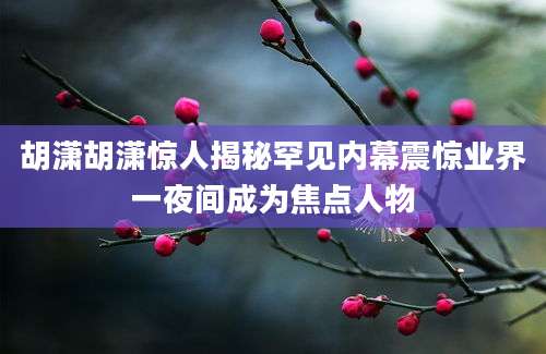 胡潇胡潇惊人揭秘罕见内幕震惊业界一夜间成为焦点人物