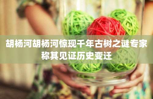 胡杨河胡杨河惊现千年古树之谜专家称其见证历史变迁