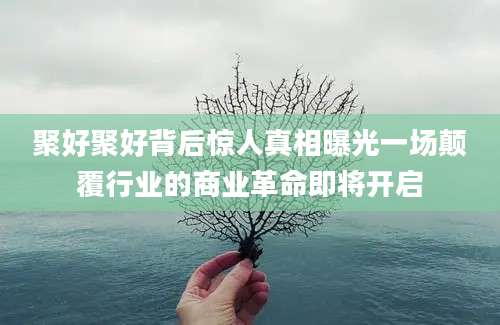 聚好聚好背后惊人真相曝光一场颠覆行业的商业革命即将开启