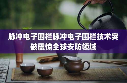 脉冲电子围栏脉冲电子围栏技术突破震惊全球安防领域
