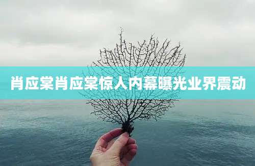 肖应棠肖应棠惊人内幕曝光业界震动
