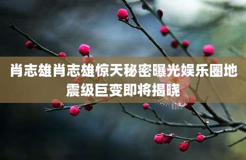 肖志雄肖志雄惊天秘密曝光娱乐圈地震级巨变即将揭晓