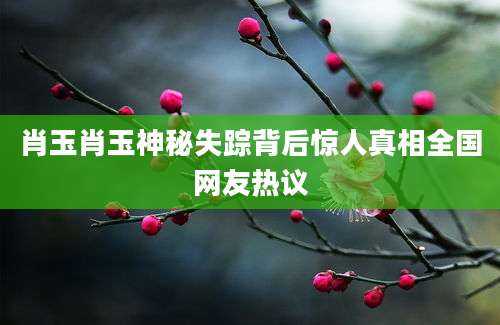 肖玉肖玉神秘失踪背后惊人真相全国网友热议