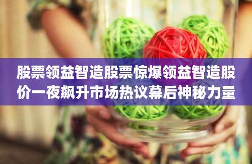 股票领益智造股票惊爆领益智造股价一夜飙升市场热议幕后神秘力量