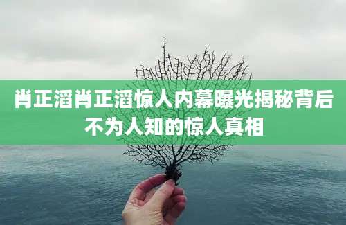 肖正滔肖正滔惊人内幕曝光揭秘背后不为人知的惊人真相