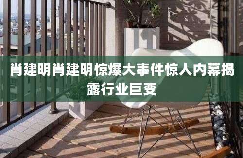 肖建明肖建明惊爆大事件惊人内幕揭露行业巨变
