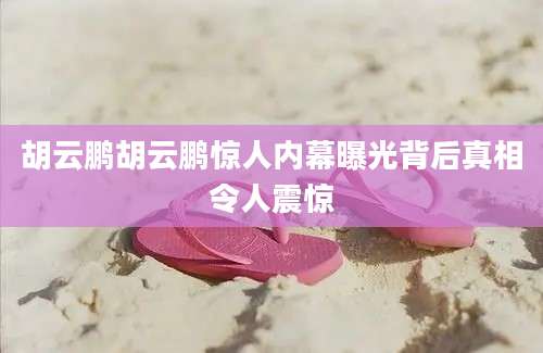 胡云鹏胡云鹏惊人内幕曝光背后真相令人震惊