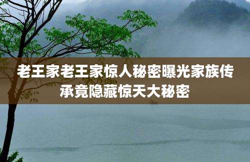 老王家老王家惊人秘密曝光家族传承竟隐藏惊天大秘密