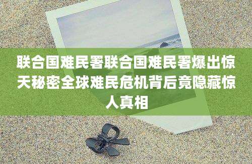 联合国难民署联合国难民署爆出惊天秘密全球难民危机背后竟隐藏惊人真相