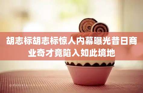 胡志标胡志标惊人内幕曝光昔日商业奇才竟陷入如此境地