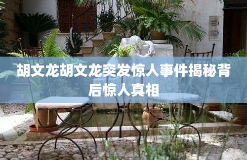 胡文龙胡文龙突发惊人事件揭秘背后惊人真相