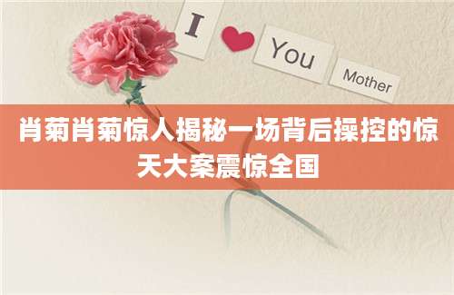 肖菊肖菊惊人揭秘一场背后操控的惊天大案震惊全国