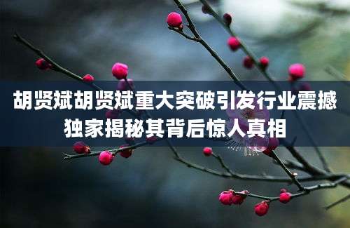 胡贤斌胡贤斌重大突破引发行业震撼独家揭秘其背后惊人真相