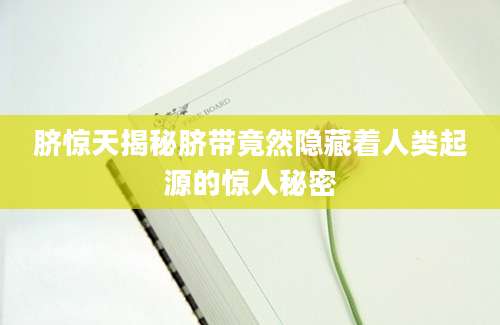 脐惊天揭秘脐带竟然隐藏着人类起源的惊人秘密