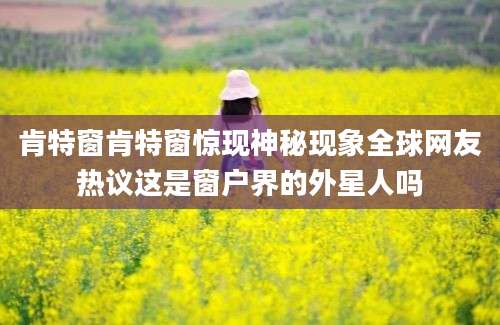肯特窗肯特窗惊现神秘现象全球网友热议这是窗户界的外星人吗