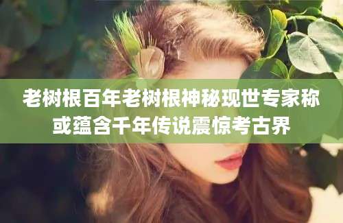 老树根百年老树根神秘现世专家称或蕴含千年传说震惊考古界