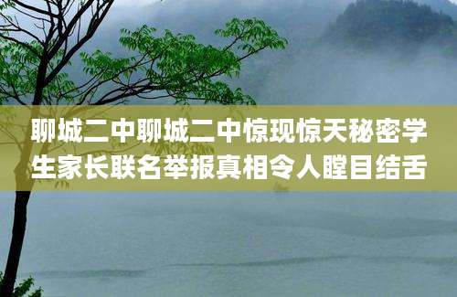 聊城二中聊城二中惊现惊天秘密学生家长联名举报真相令人瞠目结舌