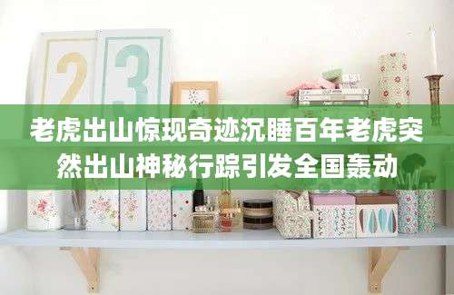 老虎出山惊现奇迹沉睡百年老虎突然出山神秘行踪引发全国轰动