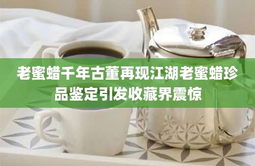 老蜜蜡千年古董再现江湖老蜜蜡珍品鉴定引发收藏界震惊
