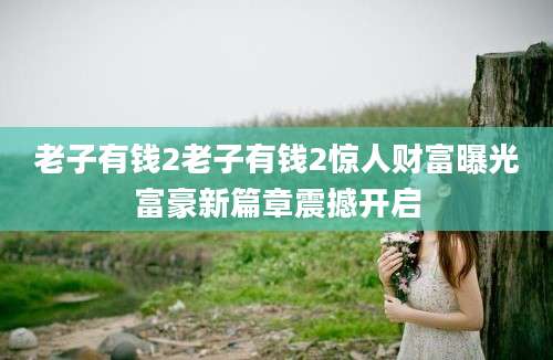 老子有钱2老子有钱2惊人财富曝光富豪新篇章震撼开启