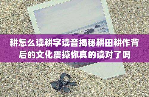 耕怎么读耕字读音揭秘耕田耕作背后的文化震撼你真的读对了吗