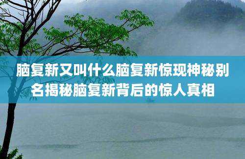 脑复新又叫什么脑复新惊现神秘别名揭秘脑复新背后的惊人真相